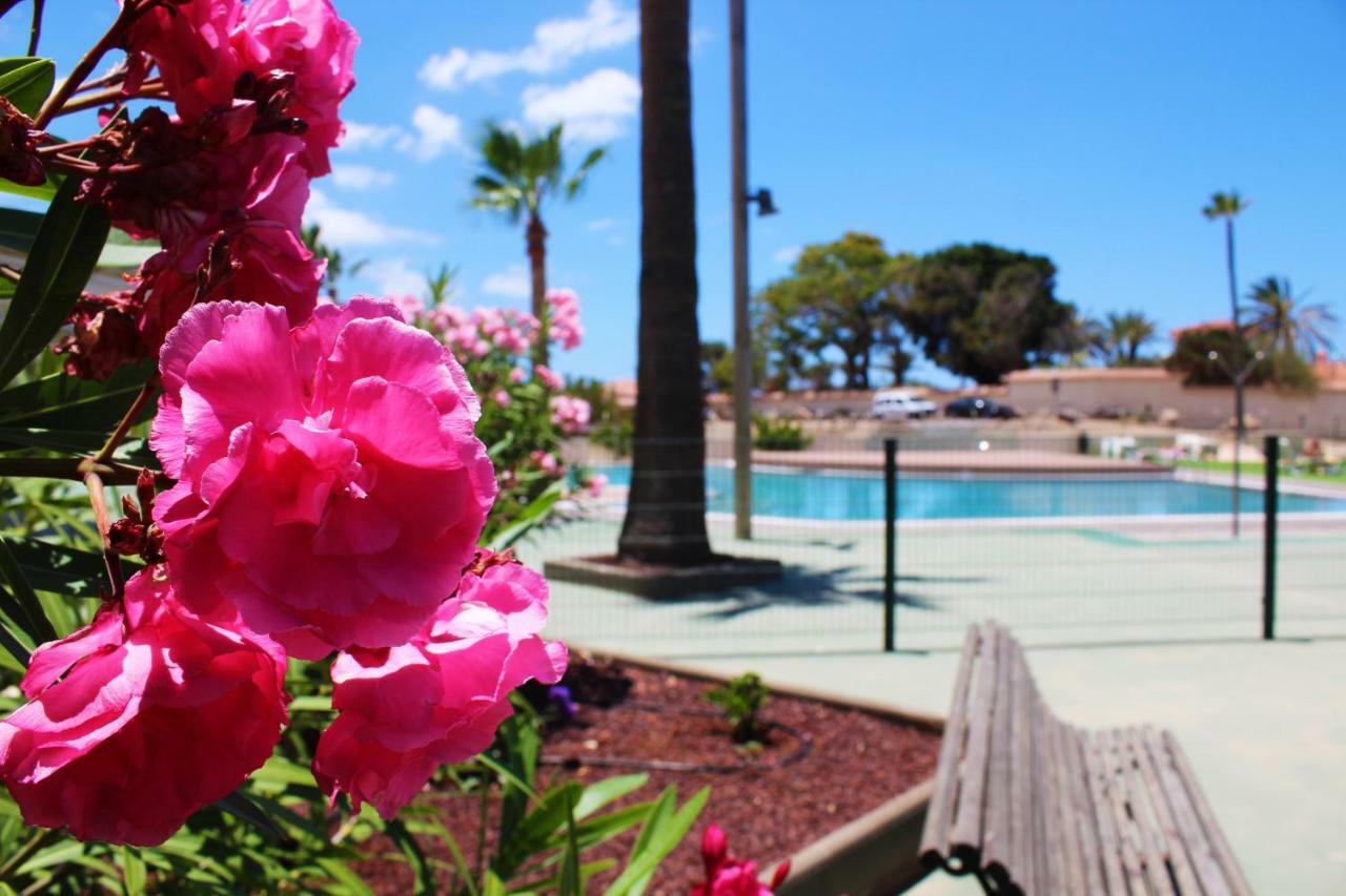 Soleado Apartamento Vistas Al Mar Los Cristianos Los Cristianos  Eksteriør billede